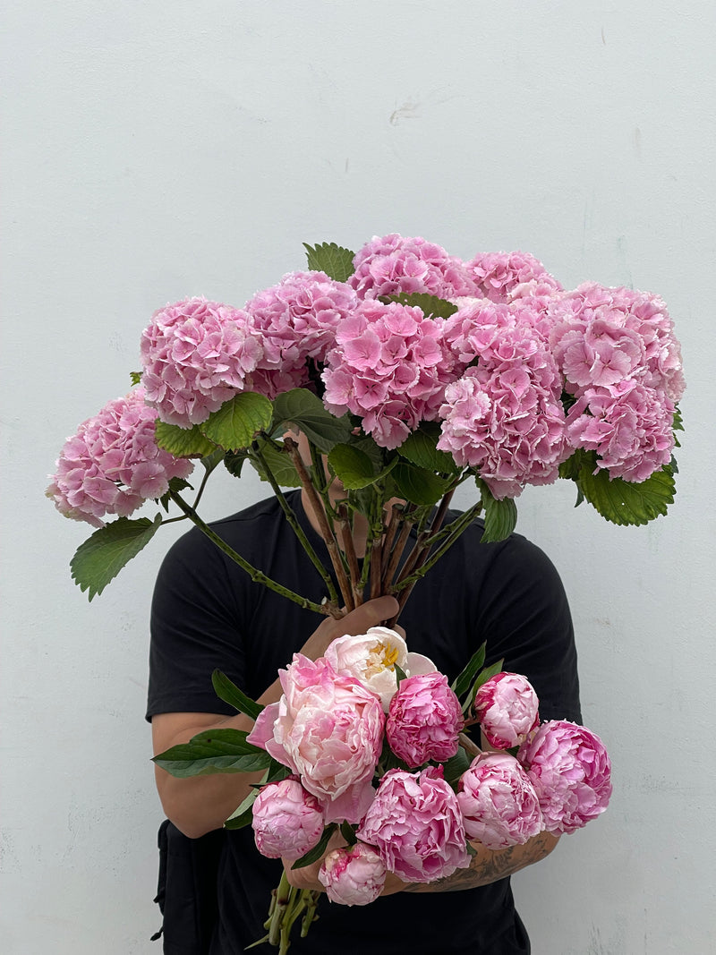 Flores de temporada