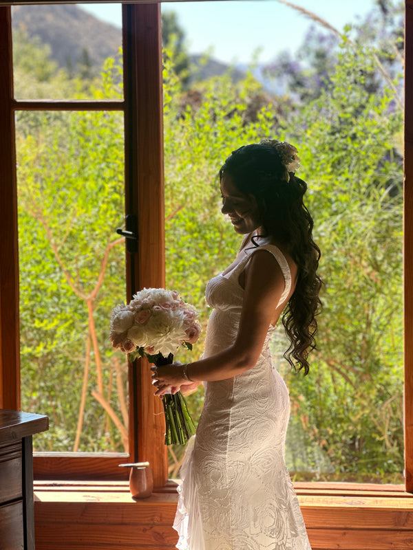 Novios